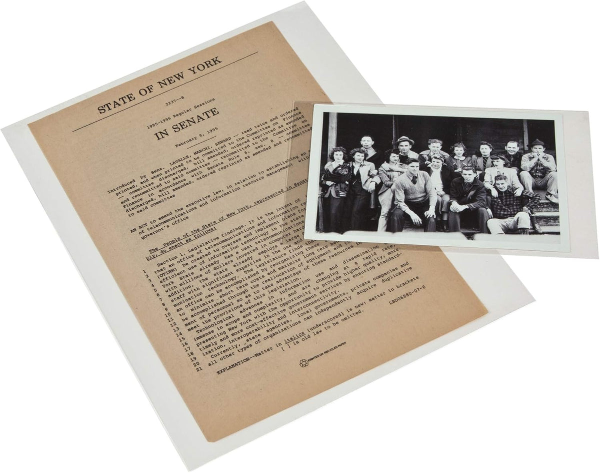 Gaylord Archival 3 mil Archival Polyester L-Sleeves for Photos & Documents (10-Pack) - 9 x 12"