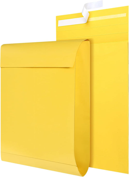 25 Pcs Catalog Envelopes Large Kraft Envelopes 10 x 15 Inches Large Mailing for Office Home Documents Magazines Photos Storage Organizing(Light Brown)