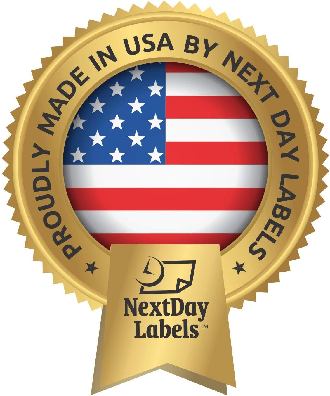 NextDayLabels - 8-1/2" x 11" Z Fold Pressure Seal Self Mailer Checks (Blue-250)