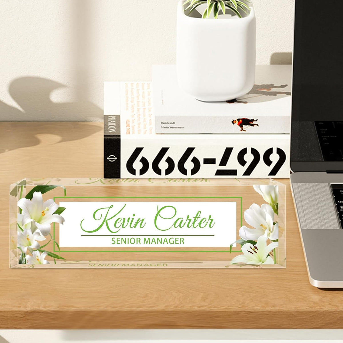 Name Plate for Desk Personalized, Acrylic Desk Decorations, Employee Appreciation Gifts, Custom Office Gifts for Coworkers, Boss, Teacher, Nurse (Lily)