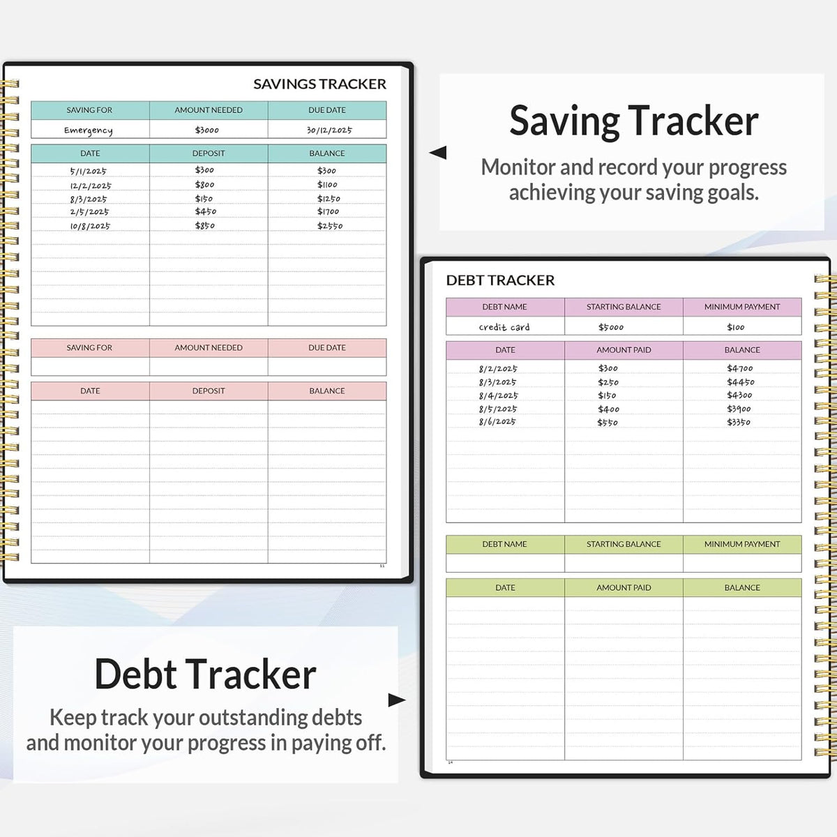 2026 Budget Planner - Monthly Budget Book from JAN 2026 - DEC 2026 with Expense Tracker Notebook, A4 Size (8.5" x 11") Bill Organizer & Finance Planner Account Book to Manage Your Finances, Black