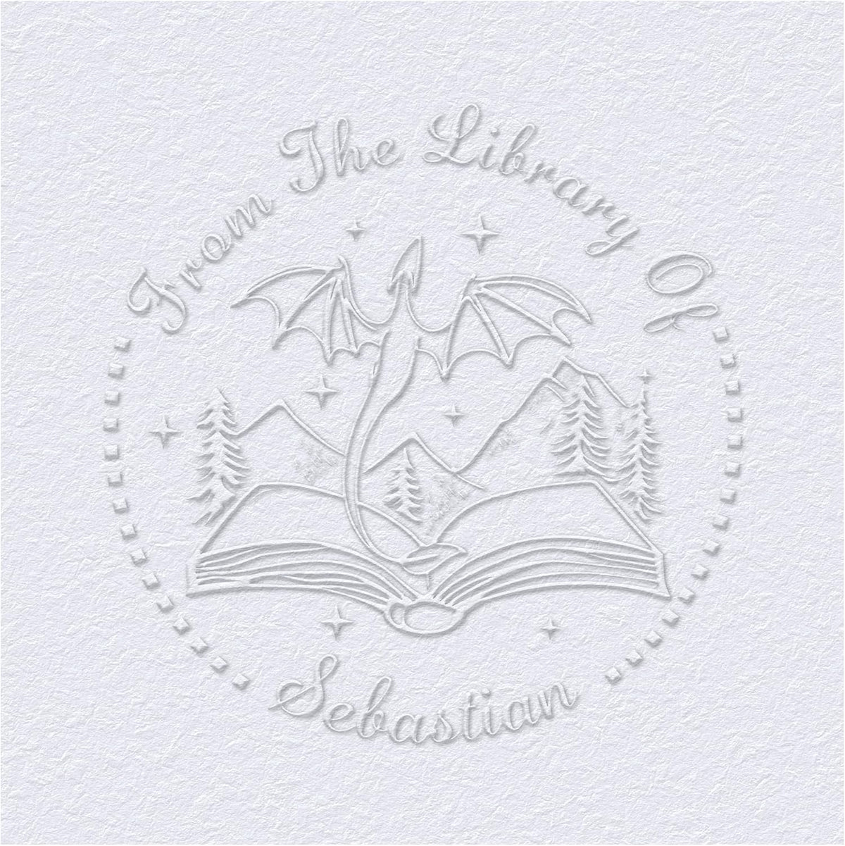 from The Library of Embossers & Stamps Custom Color Self-Inking Stamp with Your Name or Design Great for Personalizing Books, Text Books and Journals (17)