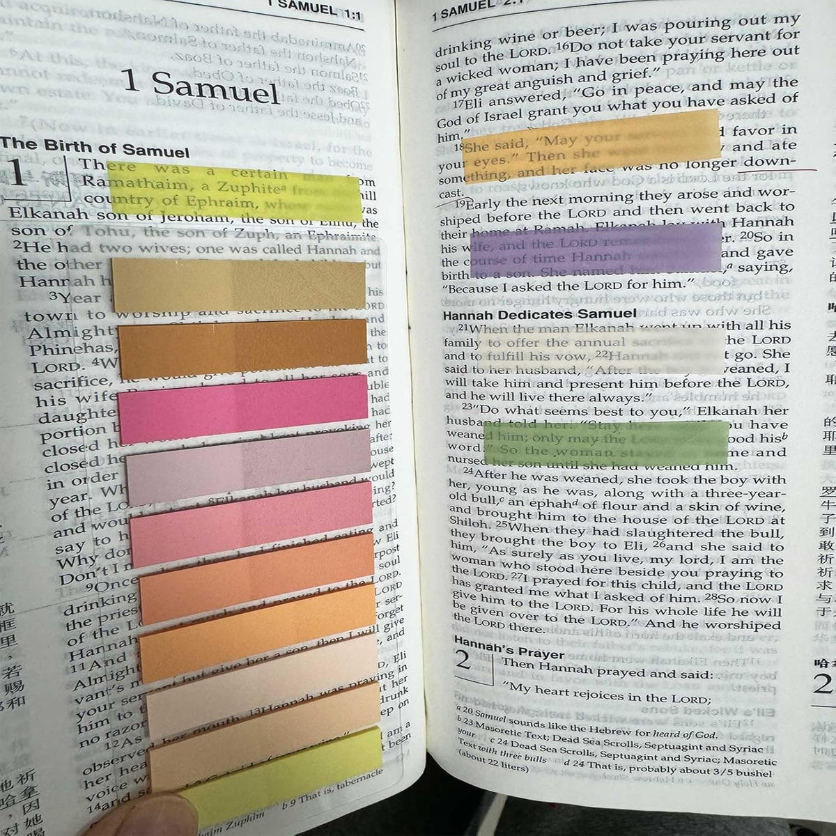 ELII 3600pcs Books Tabs for Annotating Page Markers Morandi Sticky Index Tabs,Transparent Sticky Notes Tabs Label Stickers Index Tabs for Reading Notes, Classify File