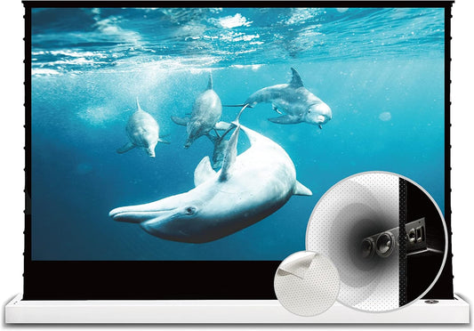 VIVIDSTORM- Projector Screen S 100 Inch Portable Folding Stand Floor Rising Movie Screen Sound Transparent Perforated White Screen Compatible with Ordinary Projector,VWSDSTPW100H