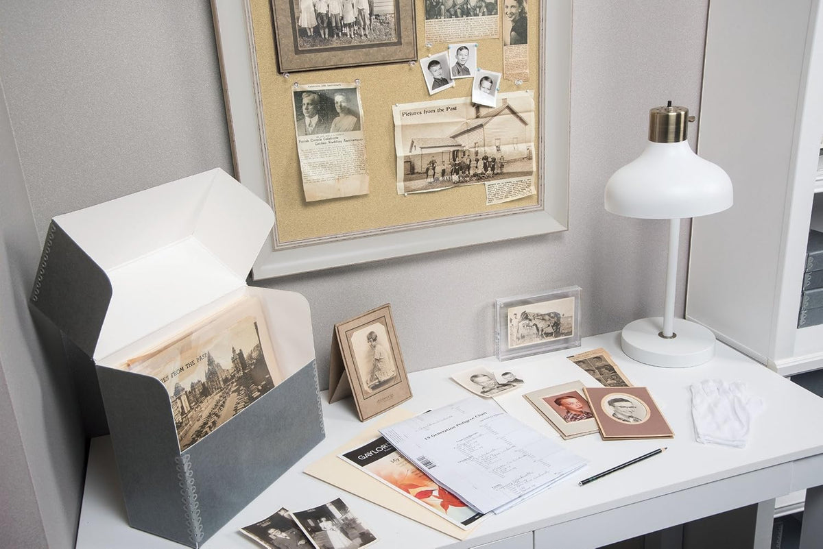 Gaylord Archival Polyester 4 x 6" Photo & Document Envelopes (10-Pack)